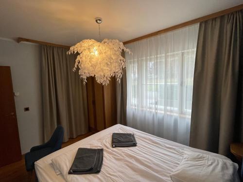 维尔扬迪"Winter" Apartment的卧室配有白色的床和吊灯。