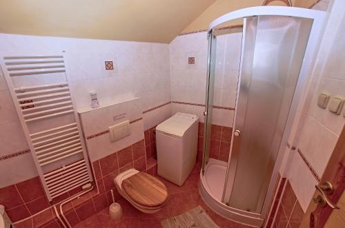 VažecVila Rhea的一间带卫生间和淋浴的浴室