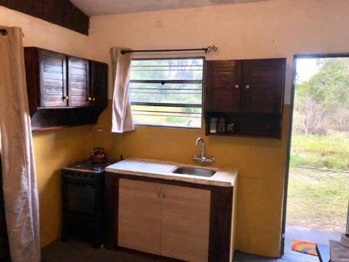 库奇拉阿尔塔La Cabaña Celeste的一个带水槽和窗户的小厨房