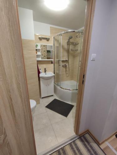 哈伊努夫卡Klimatyczne mieszkanie的带淋浴、卫生间和盥洗盆的浴室