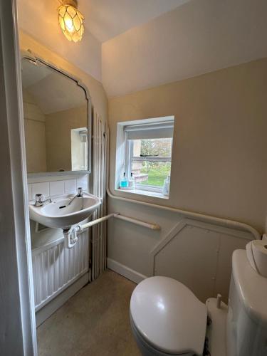 布罗肯赫斯特Historic 2 bed gatehouse in private parkland的一间带水槽、卫生间和镜子的浴室