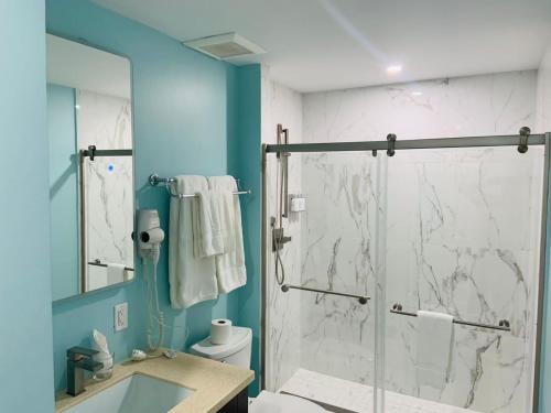 Tortola IslandThe New View Inn的带淋浴、卫生间和盥洗盆的浴室