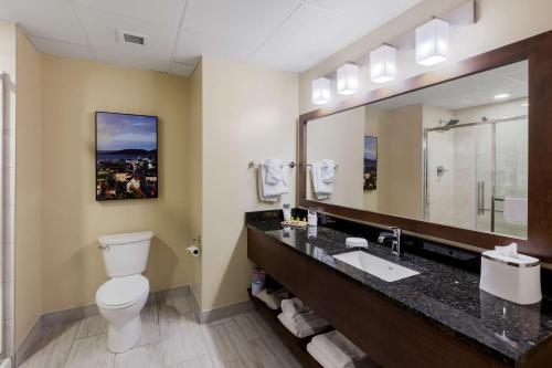 圣约翰斯Best Western Plus St. John's Airport Hotel and Suites的一间带水槽、卫生间和镜子的浴室