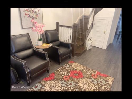 巴尔的摩Brand new bedroom with Tv next JHU的客厅配有两把椅子和地毯。
