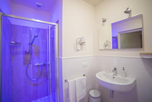 Castion VeroneseCasale Al Solivo B&B的带淋浴和盥洗盆的浴室