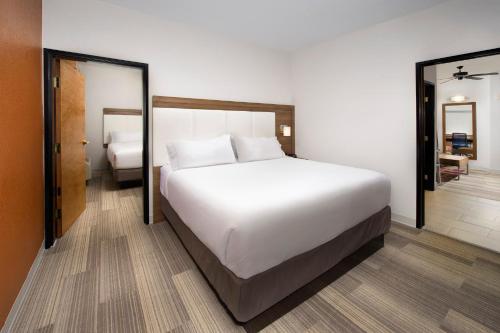 圣安东尼奥圣安东尼市中心市场区奥智选假日酒店的卧室配有一张白色大床和镜子