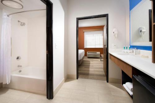 圣安东尼奥圣安东尼市中心市场区奥智选假日酒店的带浴缸、水槽和镜子的浴室