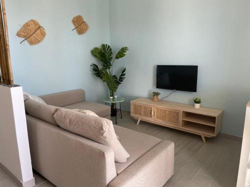 普罗斯西托角Apartments Punta Grossa的带沙发和电视的客厅
