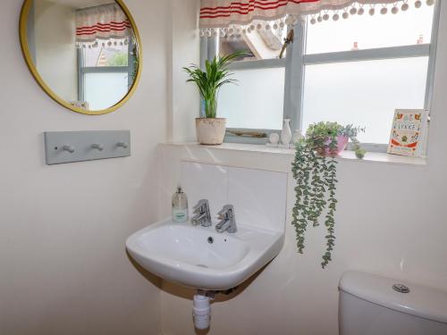 奥克姆Pheasant Cottage的一间带水槽、镜子和卫生间的浴室