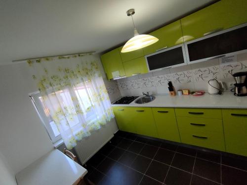 普洛耶什蒂"Apartament"-Casa Genius的厨房配有石灰绿色橱柜和水槽