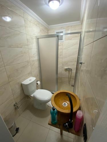 吉雷松Hobbitköy giresun的浴室配有卫生间、淋浴和盥洗盆。