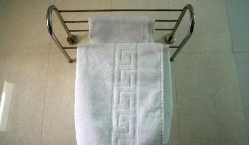 努瓦克肖特Dialali Hôtel Nouakchott的浴室毛巾架上的两条毛巾