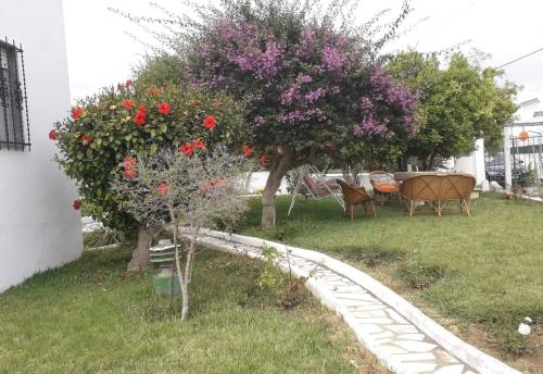Vivenda Miraflores外面的花园