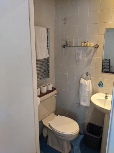 利德尼George Inn st briavels的一间带卫生间和水槽的浴室