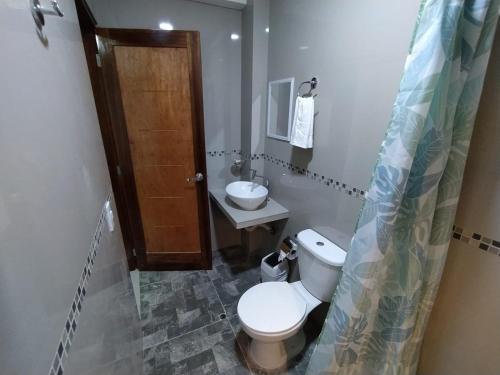 帕拉卡斯Urpi Hotel的一间带卫生间和水槽的浴室