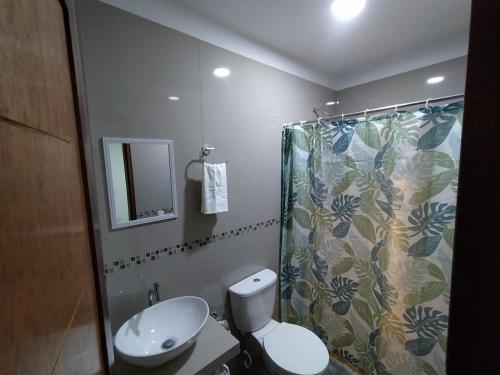 帕拉卡斯Urpi Hotel的一间带卫生间和淋浴帘的浴室