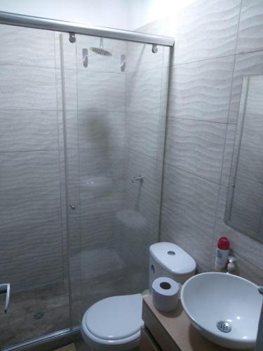 比亚维森西奥APARTA ESTUDIO CONDO的带淋浴、卫生间和盥洗盆的浴室