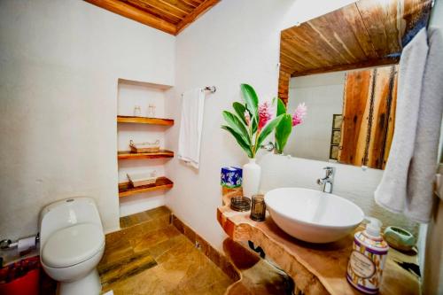 蒙波斯Casa Portal de la Bodega的一间带水槽、卫生间和镜子的浴室