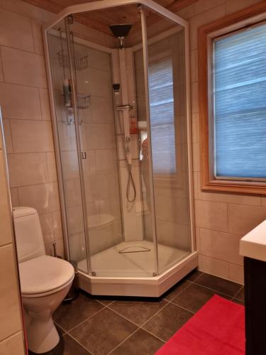 弗罗达尔Vrådal Golf Park的带淋浴的浴室、卫生间和窗户。