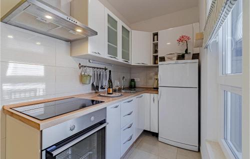 布拉托Lovely Apartment In Blato With Kitchen的白色的厨房配有水槽和冰箱