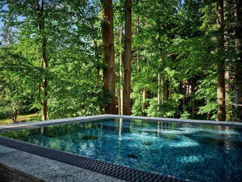 斯克拉斯卡波伦巴Hotel Bergo Resort & SPA的森林中央的游泳池