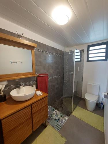 圣保罗Nidamour, un logement fait pour vous的一间带水槽、淋浴和卫生间的浴室