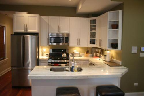 芝加哥罗斯科乡村公寓的厨房配有白色橱柜和不锈钢冰箱