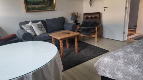 斯文堡Kastanievejens overnatning的客厅配有沙发和桌子
