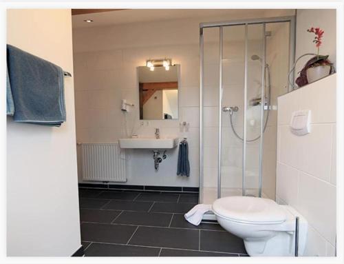PleiskirchenL'Ulivo Italienische Restaurant und Pension的浴室配有卫生间、淋浴和盥洗盆。