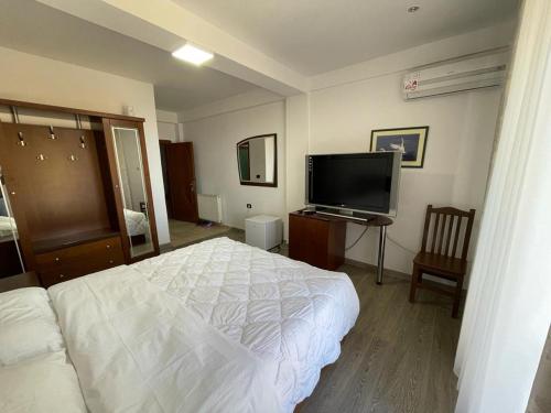 TushemishtHotel Tirona的一间卧室配有一张床和一台平面电视