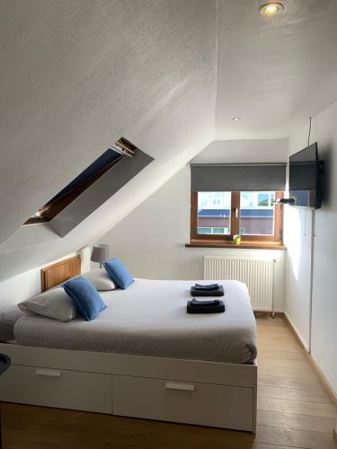 梅瑟休闲时光宾馆的一间卧室配有一张带蓝色枕头的大床