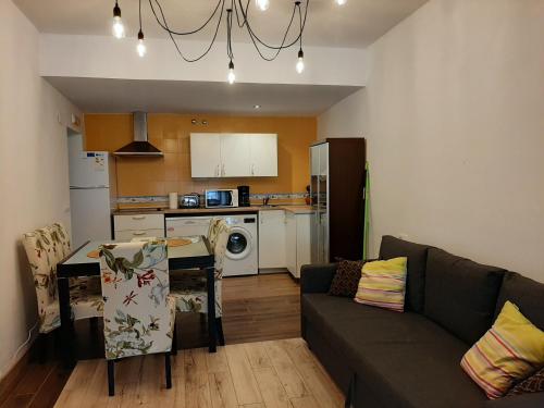 卡萨尔德卡塞雷斯Apartamentos Andrada的带沙发和桌子的客厅以及厨房。