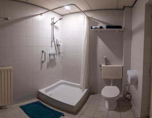 斯容代克Hotel de Zwaan的带浴缸、卫生间和淋浴的浴室。