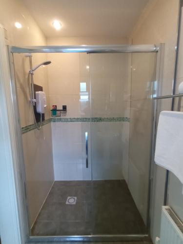 布拉尼Mulberry Lodge的浴室里设有玻璃门淋浴