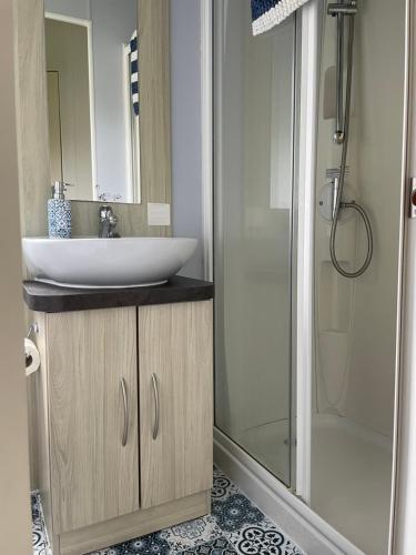 纽基Newquay Bay Resort - Sea Breeze 61的一间带水槽和淋浴的浴室