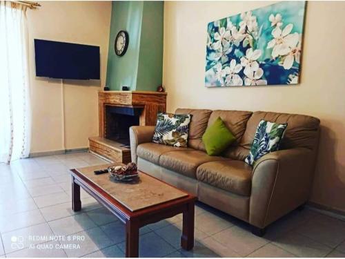 雅典Ομορφο διαμέρισμα κοντά στο σταθμό Δουκίσσης Πλακεντίας的带沙发和咖啡桌的客厅