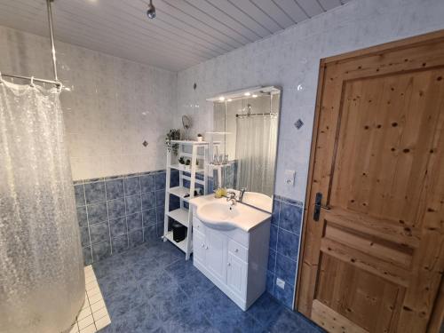 沙泰勒Chalet le Petit Ramoneur的一间带水槽、淋浴和镜子的浴室