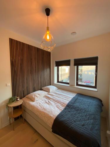 腓特烈斯塔Moderne leilighet midt i sentrum av Fredrikstad的一间卧室设有一张大床和一个窗户。