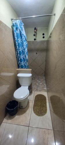 圣佩德罗拉拉古纳Hotel Tinamit的浴室设有卫生间和蓝色的浴帘。