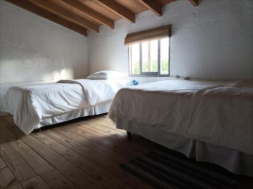 巴拉德瓦利扎斯Casa Vapahí的一间卧室设有两张床和窗户。