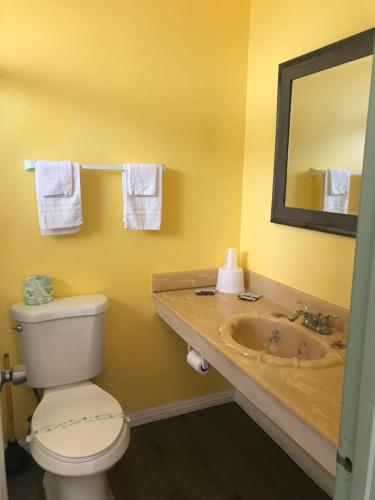亨廷顿海滩777号汽车旅馆的一间带水槽、卫生间和镜子的浴室