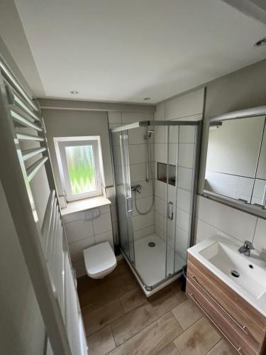 博尔滕哈根Ferienhaus Kira的带淋浴、卫生间和盥洗盆的浴室