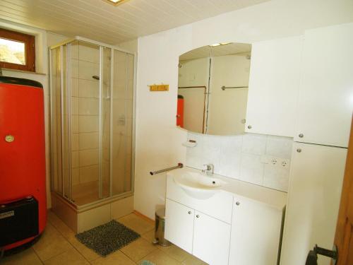 希帕赫Property in Hippach的一间带水槽和淋浴的浴室
