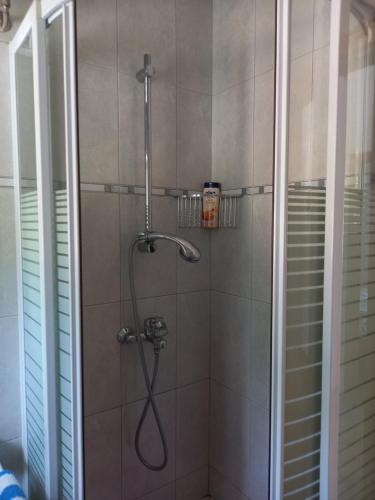 科洛塞普Villa Sea Dream Koločep的浴室内配有淋浴和头顶淋浴