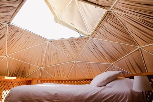 皮斯科艾齐Milodge Elqui Domos的一张位于带大窗户的帐篷内的床铺