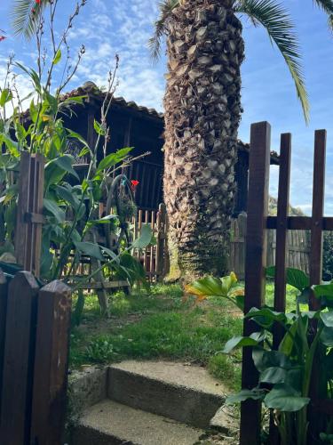 SirviellaPosada El Pareón的木栅栏和楼梯旁的棕榈树