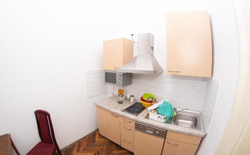 松博尔Apartments & Room - Korzo的一间带水槽和微波炉的小厨房