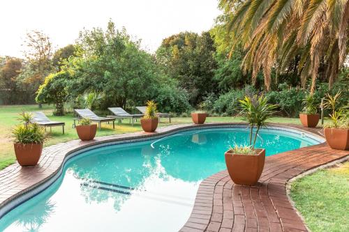 米德兰Hotel Nomad Belvedere Lodge的院子里种有盆栽植物的游泳池