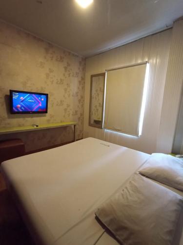 雅加达Hotel Aleander的一间卧室配有一张大床和一台平面电视