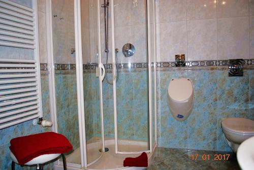 黑灵斯多夫Seeschloss-App-05的带淋浴、卫生间和盥洗盆的浴室